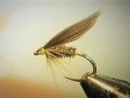 Cow Dung Wet Flies