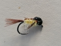 Baetis Nymph