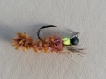 Peeping Caddis