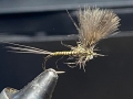 Dark Olive CDC Dun