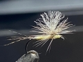 Pale Watery Paradun