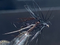 Hawthorn-Fly